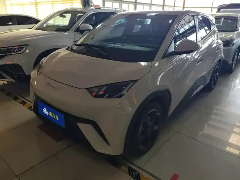 BYD Seagull, 2024