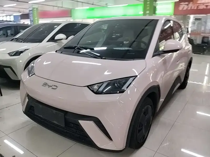 BYD Seagull, 2024