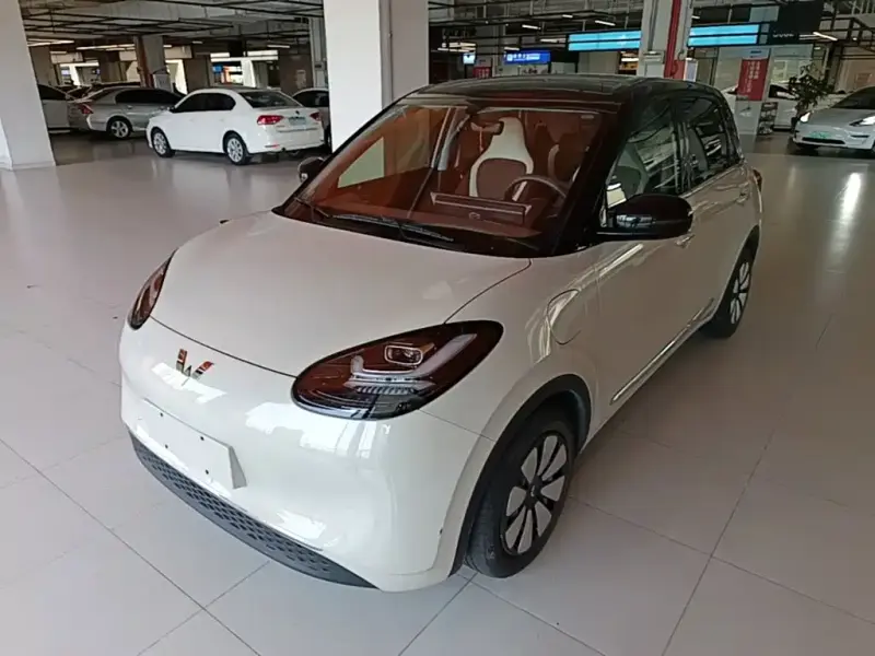 Wuling Bingo, 2024