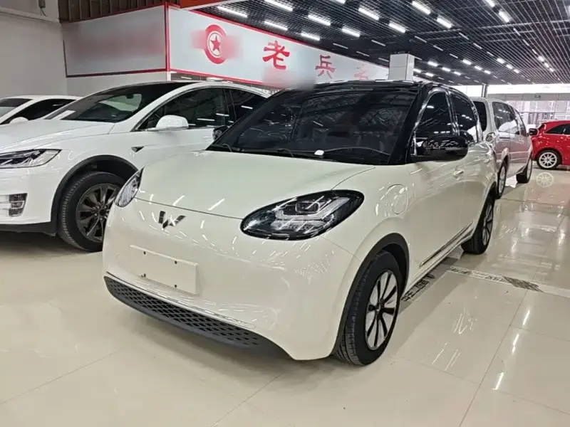 Wuling Bingo, 2024