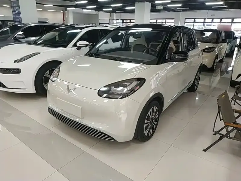 Wuling Bingo, 2024