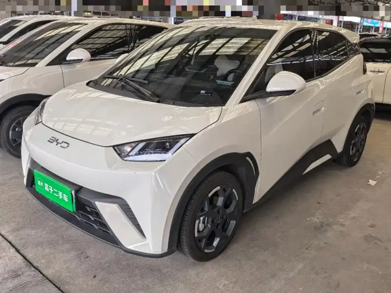 BYD Seagull, 2024