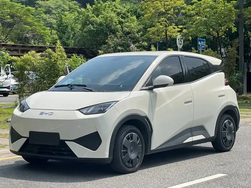 BYD Seagull, 2025
