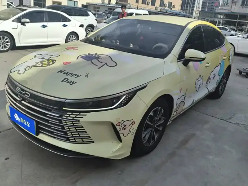 BYD Destroyer 05, 2024