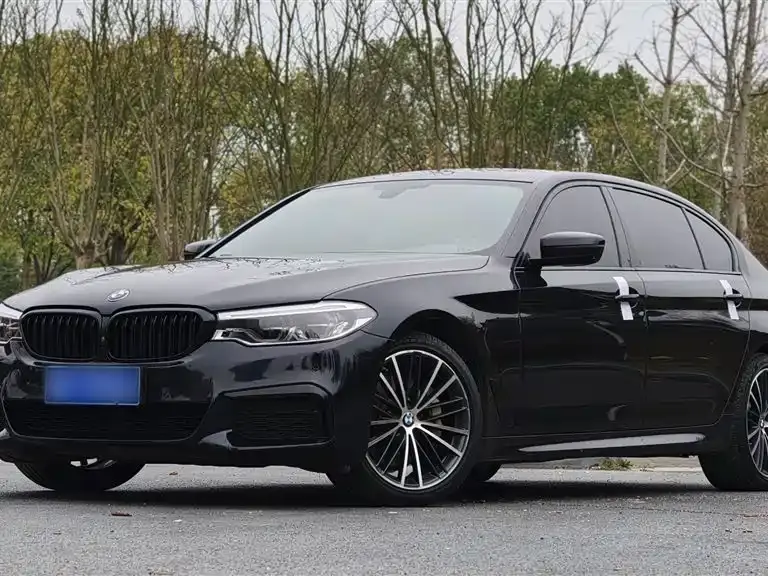 BMW 5 Series, 2019 — фото 1