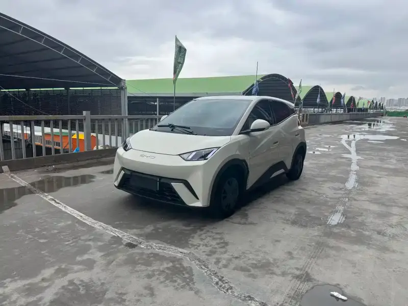 BYD Seagull, 2024