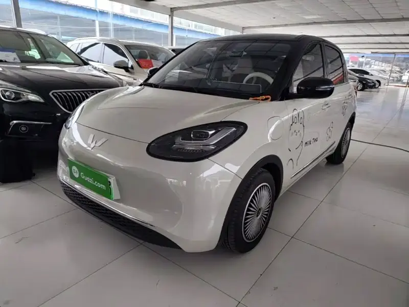Wuling Bingo, 2024