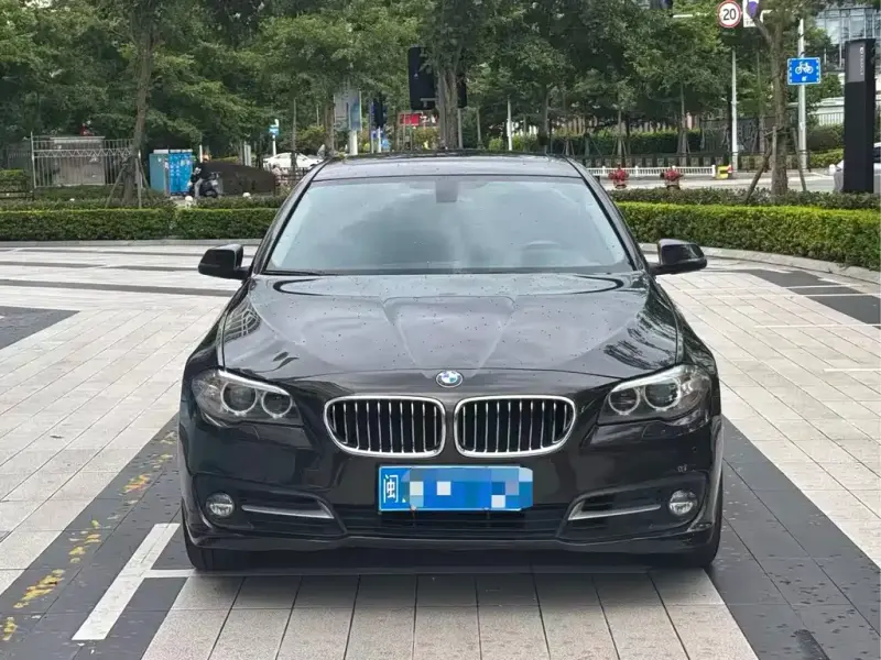 BMW 5 Series, 2015