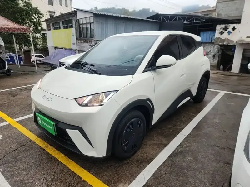BYD Seagull, 2025
