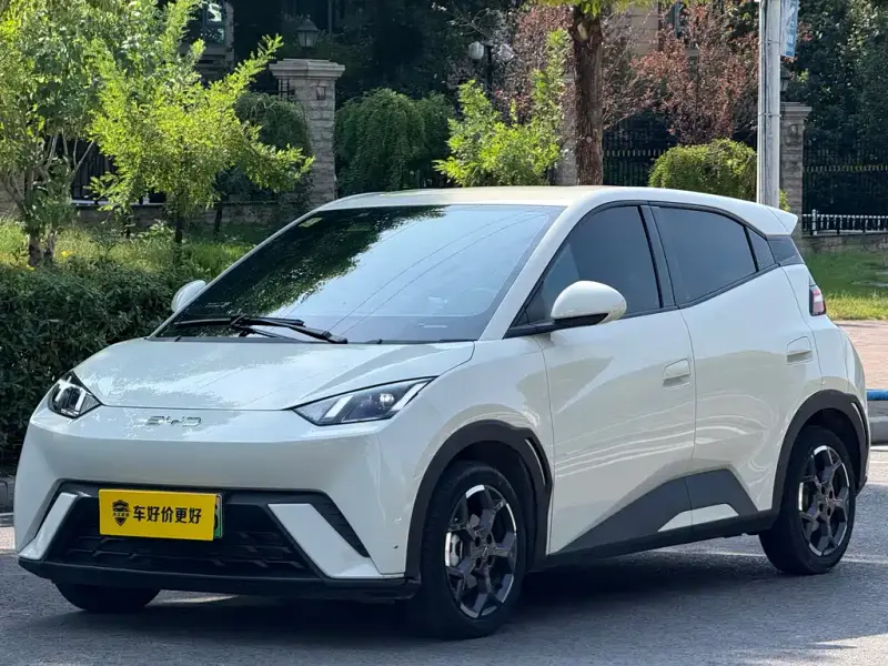 BYD Seagull, 2024