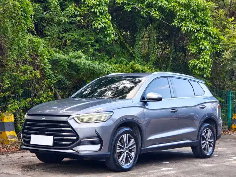 BYD Pro New Energy, 2023
