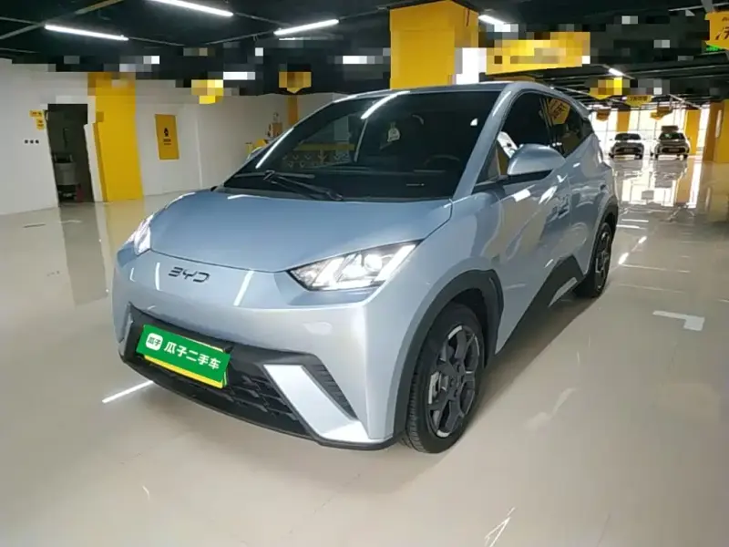 BYD Seagull, 2024