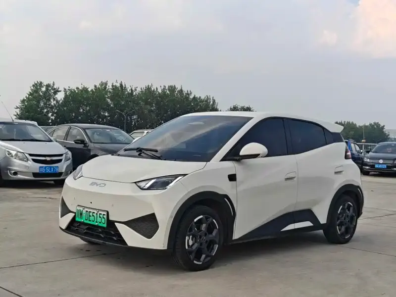 BYD Seagull, 2025