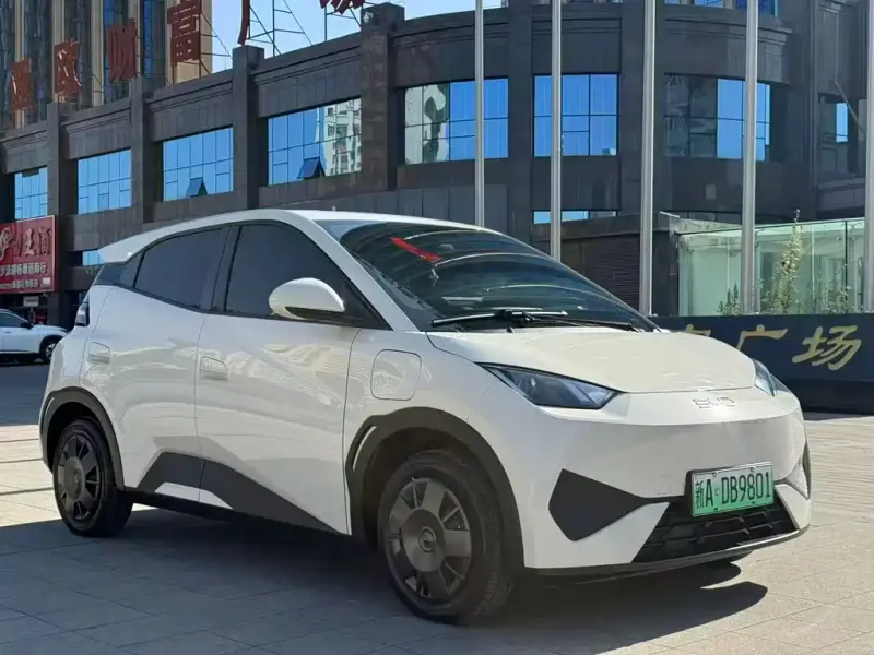 BYD Seagull, 2025