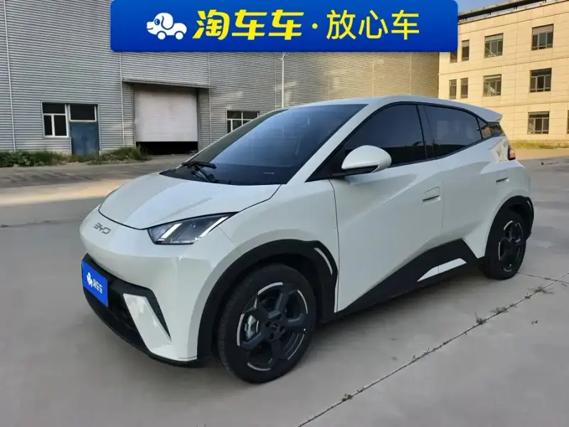 BYD Seagull, 2024