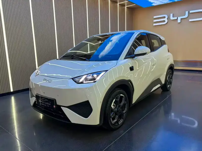 BYD Seagull, 2025