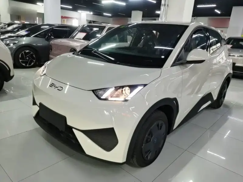 BYD Seagull, 2026