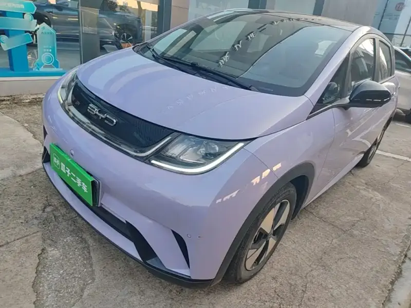 BYD Dolphin, 2024