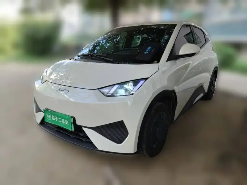 BYD Seagull, 2026
