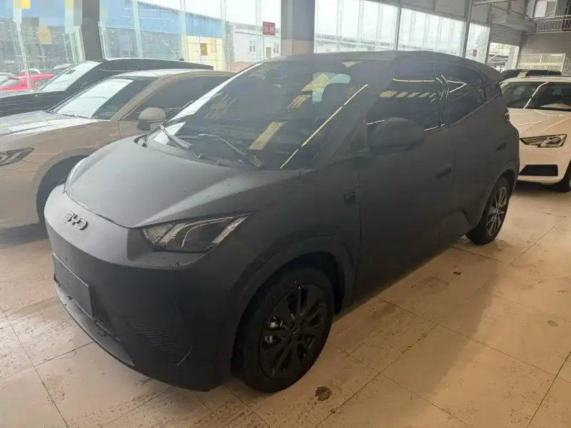 BYD Seagull, 2026