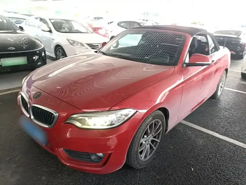 BMW 2 Series (Import), 2017
