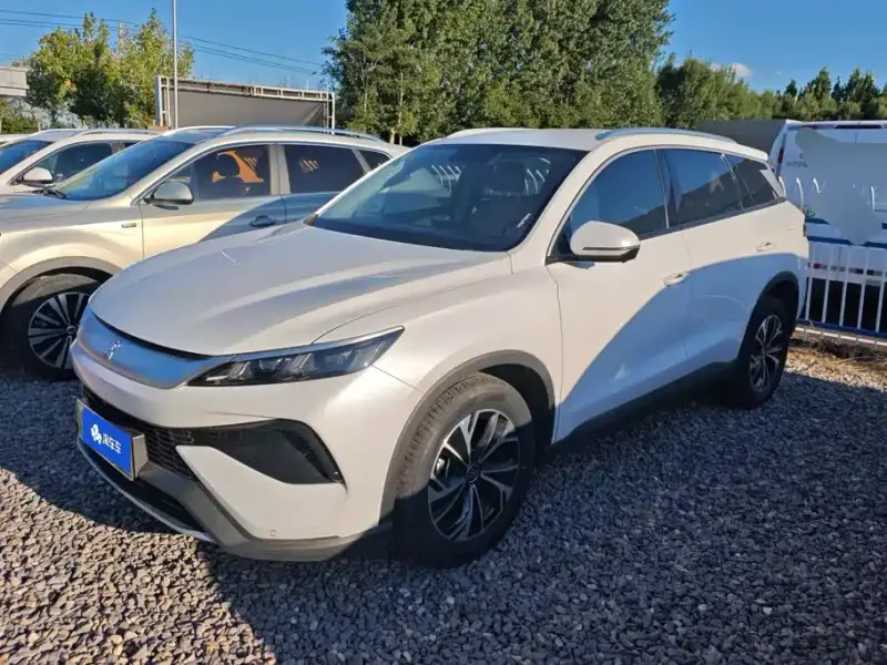 BYD Pro New Energy, 2025