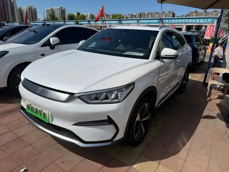 BYD PLUS New Energy, 2021