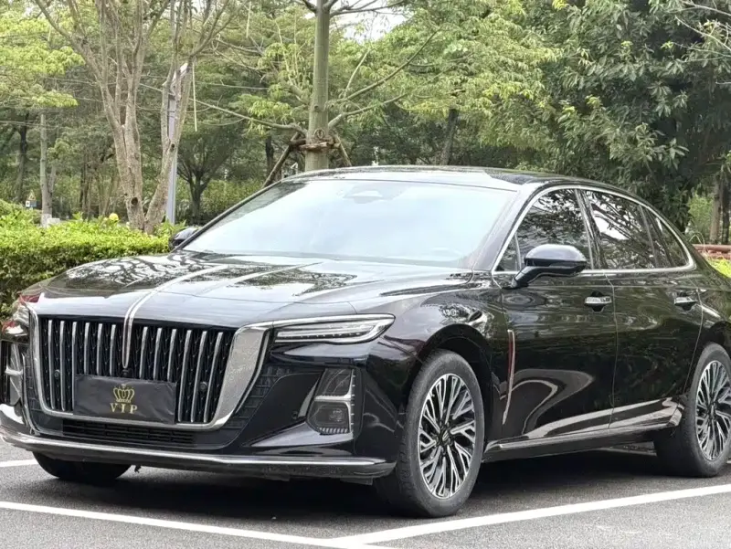 Hongqi H5, 2024