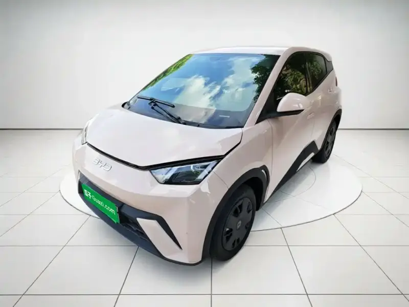 BYD Seagull, 2024