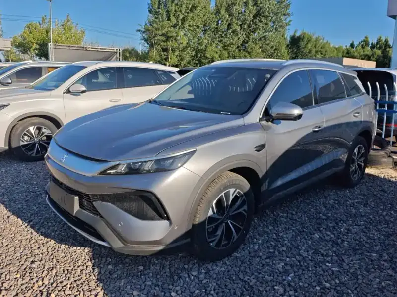BYD Pro New Energy, 2025