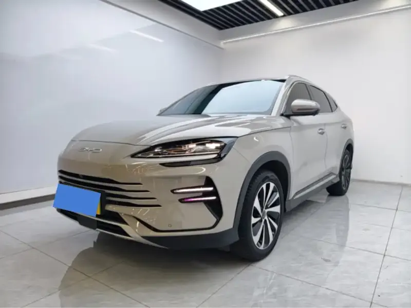BYD PLUS New Energy, 2024