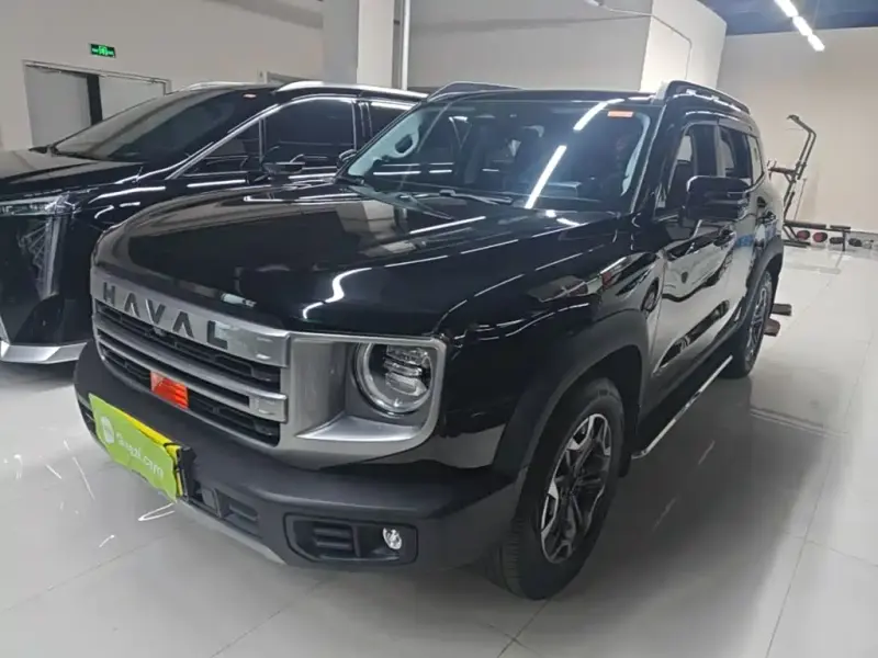 Haval Big Dog, 2024