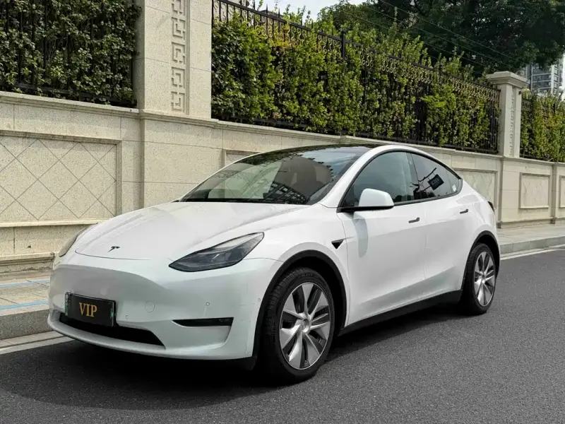 Tesla Model Y Tesla Model Y 2021 Standard Range RWD Edition, 2021 — фото 1