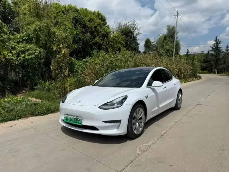 Tesla Model 3, 2019