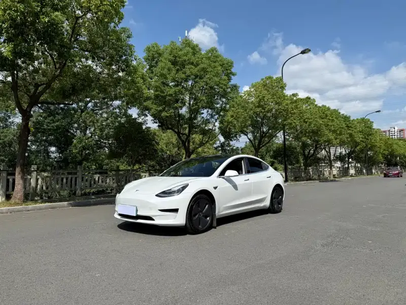 Tesla Model 3, 2020