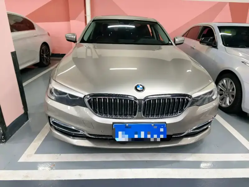 BMW 5 Series BMW 5 Series 2018 Facelift 530Li Leading Type Luxury Package, 2018 — фото 1