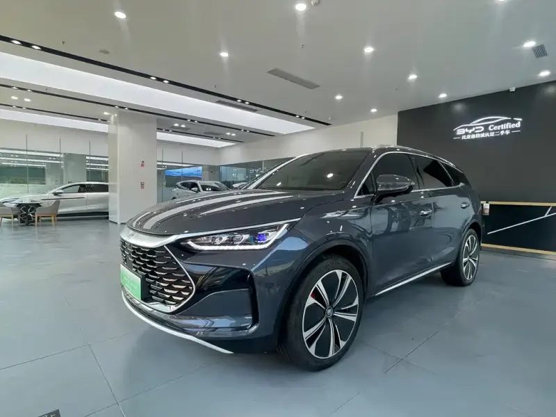 BYD Tang New Energy, 2022