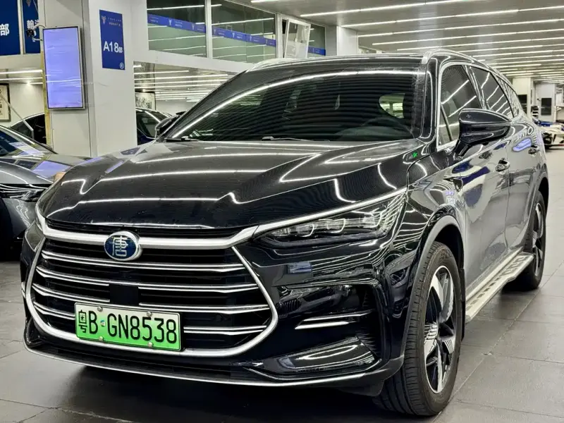 BYD Tang New Energy, 2024
