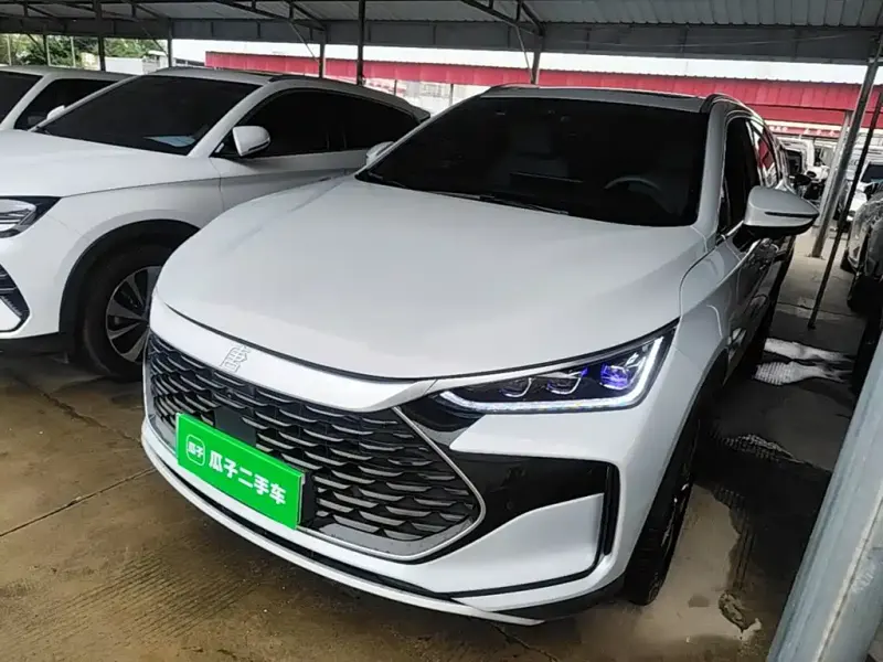 BYD Tang New Energy, 2024