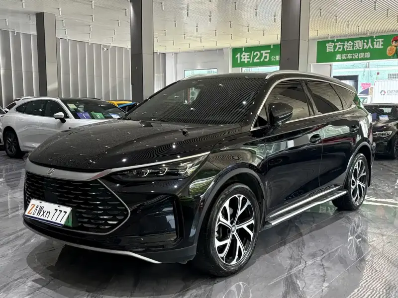 BYD Tang New Energy, 2024