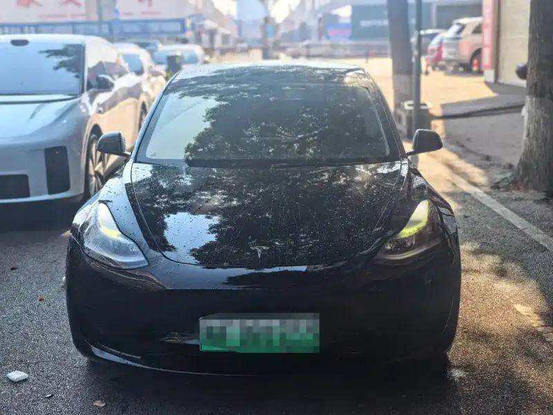 Tesla Model 3, 2021