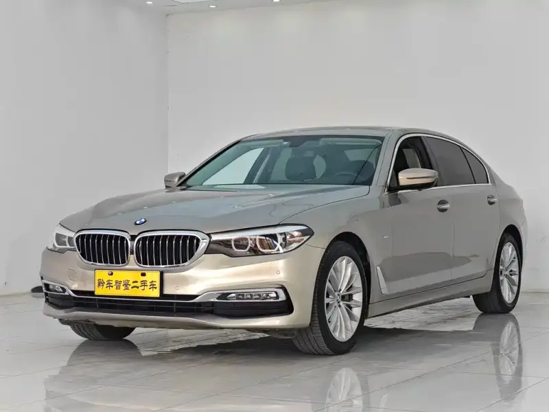 BMW 5 Series BMW 5 Series 2018 Facelift 530Li Leading Type Luxury Package, 2018 — фото 1