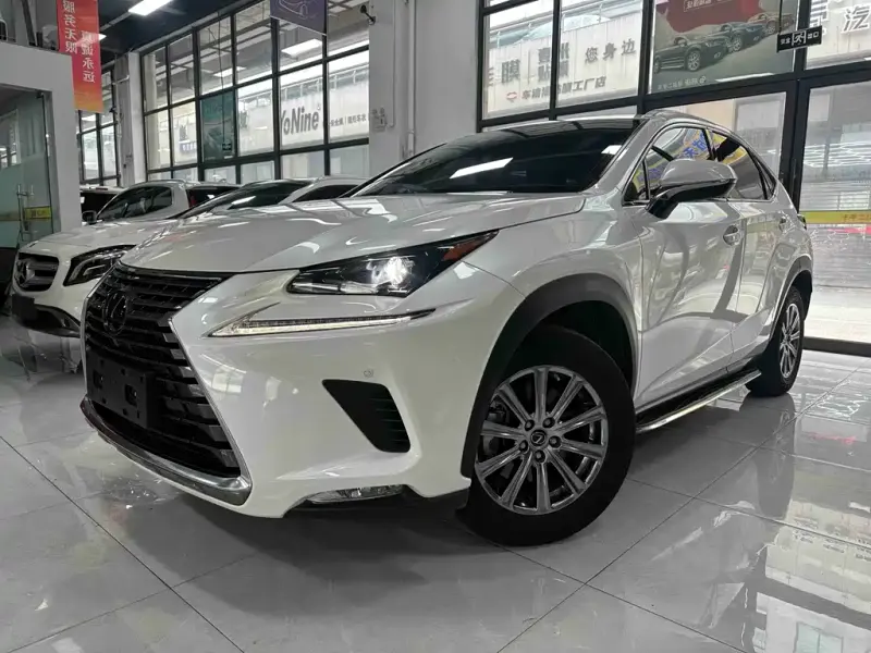 Lexus NX Lexus NX 2018 200 AWD Sharp Fashion Edition China V, 2019 — фото 1