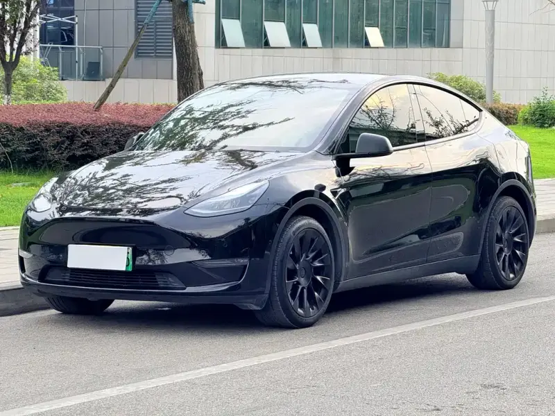 Tesla Model Y Tesla Model Y 2021 Long Range AWD Edition, 2021 — фото 1