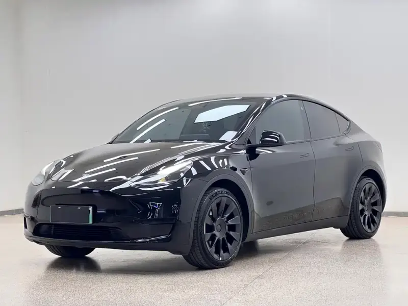 Tesla Model Y Tesla Model Y 2022 RWD Drive Dynamic Edition, 2022 — фото 1