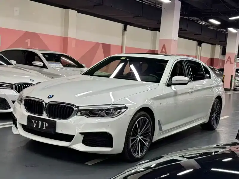 BMW 5 Series BMW 5 Series 2020 530Li Premium Type M Sport Package, 2020 — фото 1
