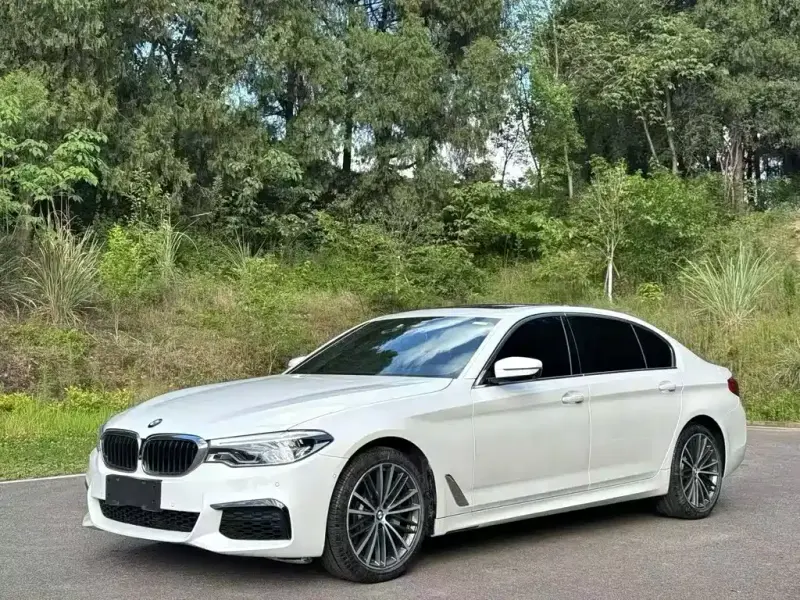 BMW 5 Series, 2020