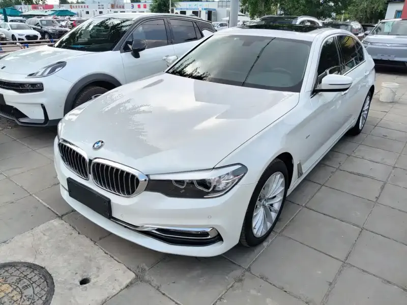 BMW 5 Series BMW 5 Series 2018 530Li xDrive Luxury Package, 2017 — фото 1