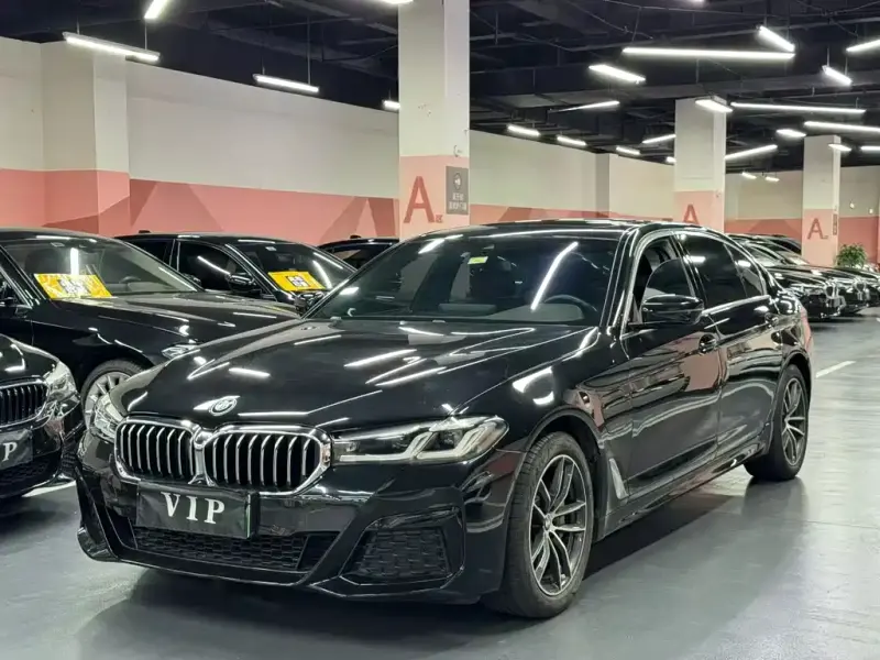 BMW 5 Series New Energy BMW 5 Series NEV 2020 530Le Luxury Package, 2021 — фото 1