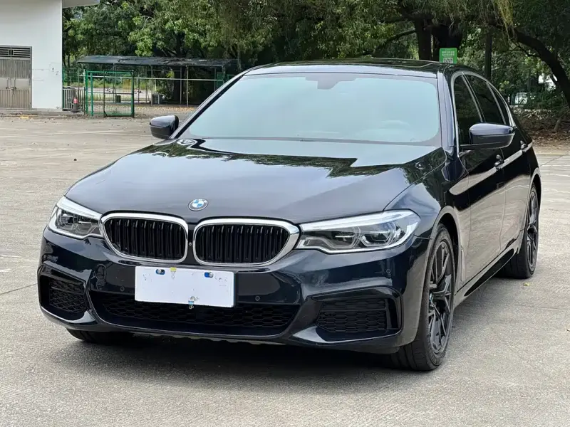 BMW 5 Series BMW 5 Series 2020 530Li Premium Type M Sport Package, 2020 — фото 1